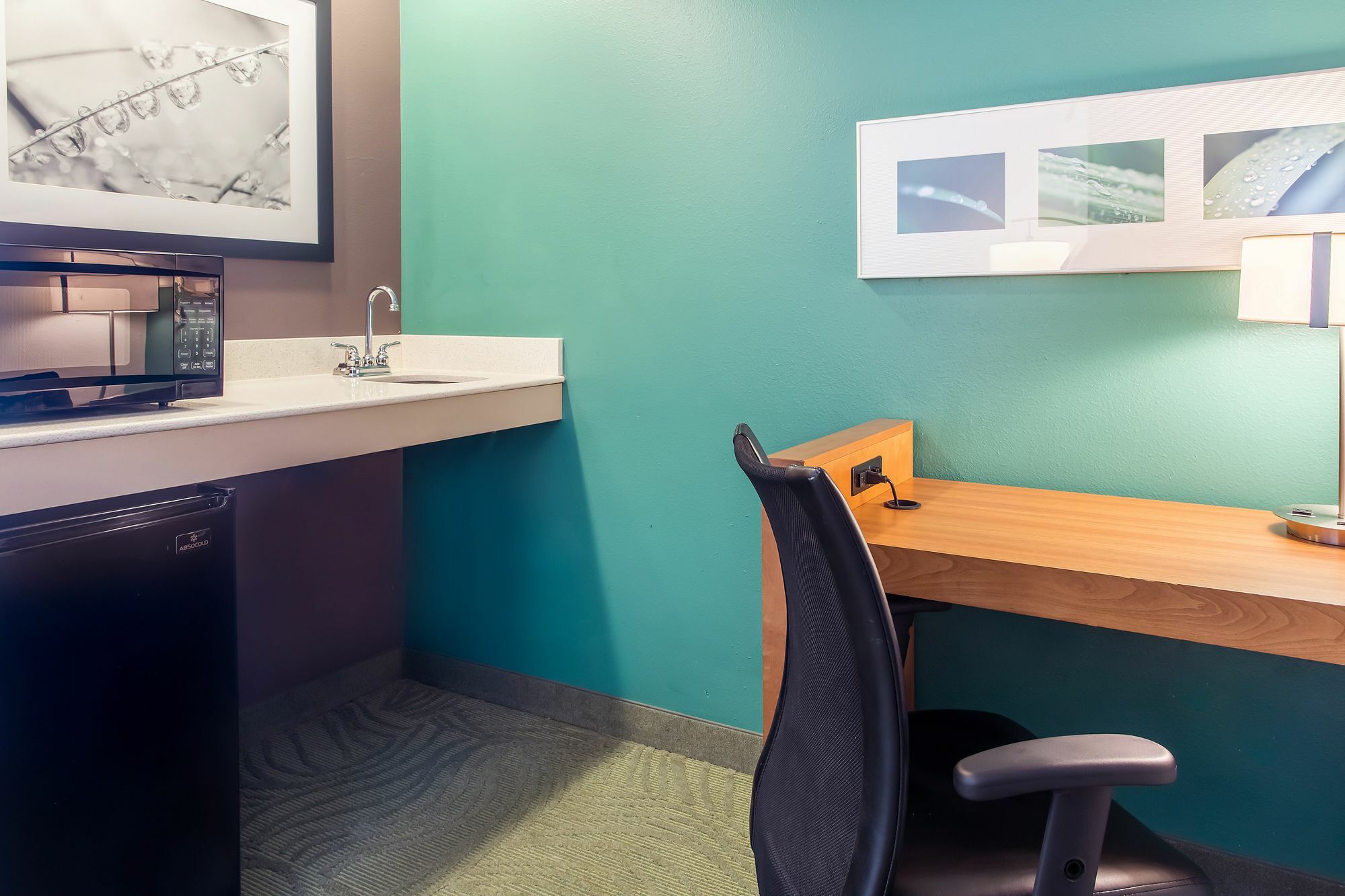 Springhill Suites By Marriott Memphis East Galleria Bagian luar foto